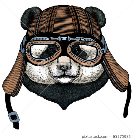 Big panda, bamboo bear portrait. Face of cute animal. Bear head. Motorcycle helmet. 65375985
