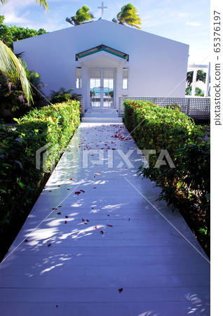 教堂新娘 65376197