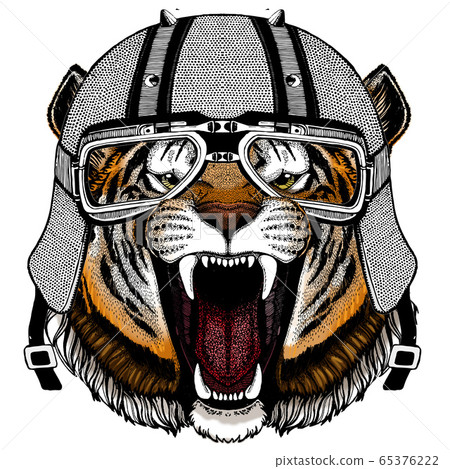 Tiger portrait. Wild cat head. Motorcycle helmet. 65376222