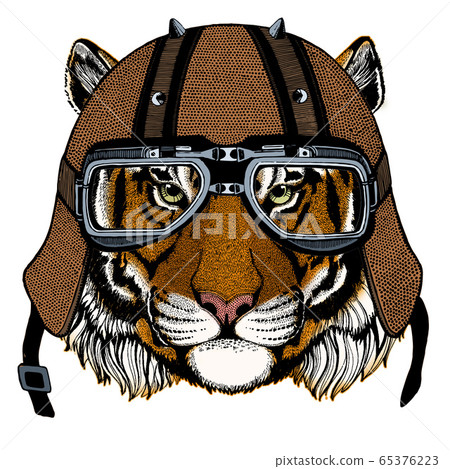 Tiger portrait. Wild cat head. Motorcycle helmet. 65376223