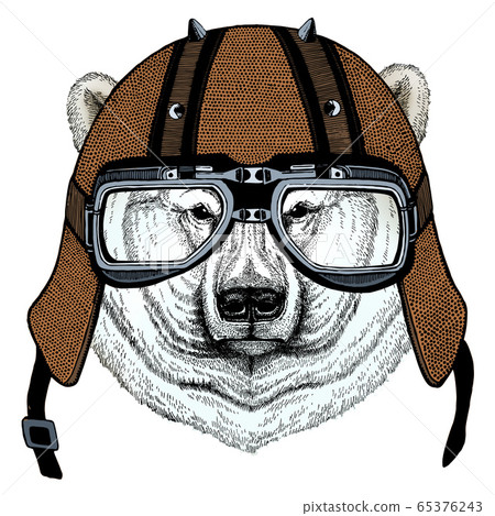 Polar bear portrait. Head of wild animal. Motorcycle helmet. 65376243