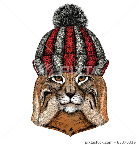 bobcat winter hat