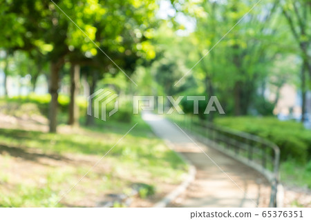 Fresh green blur bokeh Fresh green blur bokeh 65376351