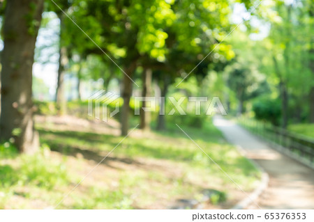 Fresh green blur bokeh Fresh green blur bokeh 65376353