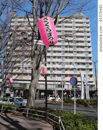 Tokiwadaira Station and cherry blossom lanterns 65376481