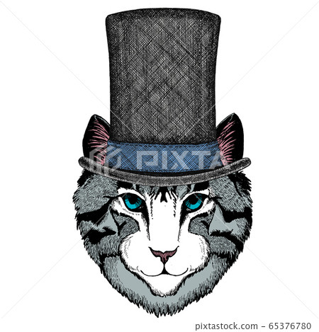 Face of domestic cat. Portrait of animal. Cylinder hat. 65376780