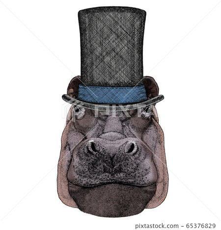 Portrait of hippopotamus, hippo. Wild african animal. Cylinder hat. Portrait of hippopotamus, hippo. Wild african animal. Cylinder hat. 65376829