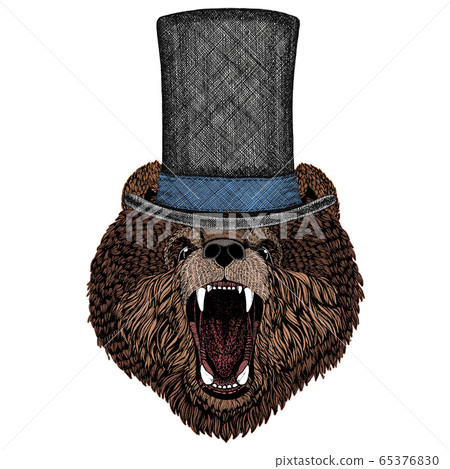 Wild bear. Portrait of animal for emblem, logo, tee shirt. Cylinder hat. Wild bear. Portrait of animal for emblem, logo, tee shirt. Cylinder hat. 65376830