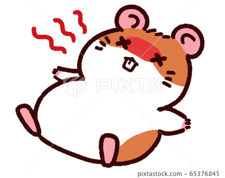 Hamster in hot sale heat