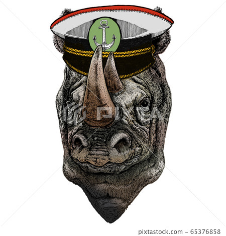 Rhinoceros, rhino portrait. Head of wild animal. 65376858
