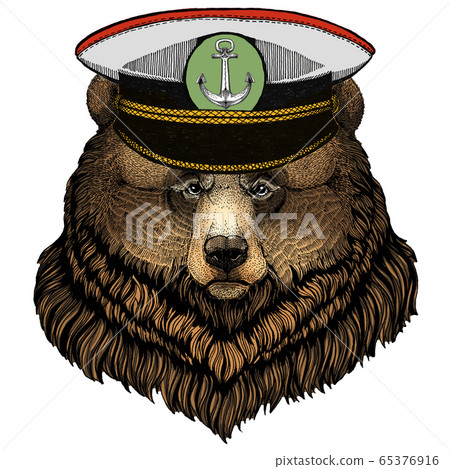 Grizzly bear. Portrait of wild animal. Grizzly bear. Portrait of wild animal. 65376916