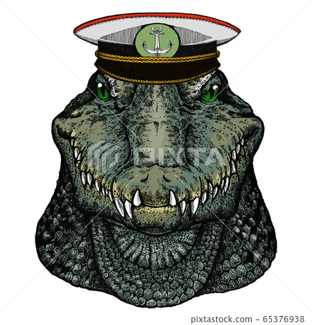 Alligator. Crocodilia. Portrait of african agressive animal. Alligator. Crocodilia. Portrait of african agressive animal. 65376938