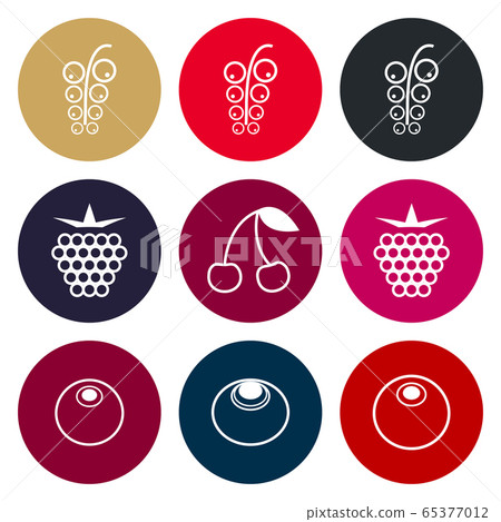 Berries vector icon set in muted tones Berries vector icon set in muted tones 65377012