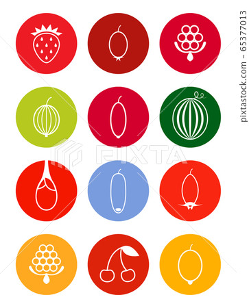 Berries vector icon set in bright tones Berries vector icon set in bright tones 65377013