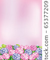 Hydrangea (pink and purple) 65377209