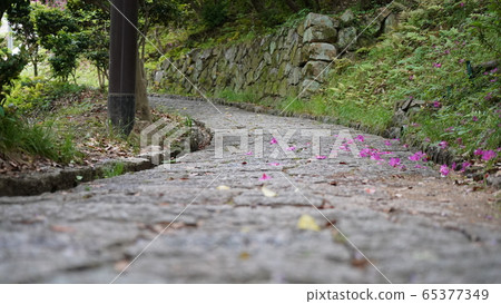 Cobbled street 65377349