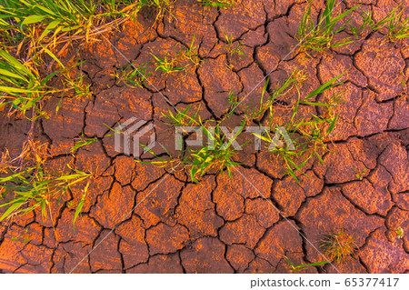 Cracked earth, metaphoric for climate change and global warming Cracked earth, metaphoric for climate change and global warming 65377417