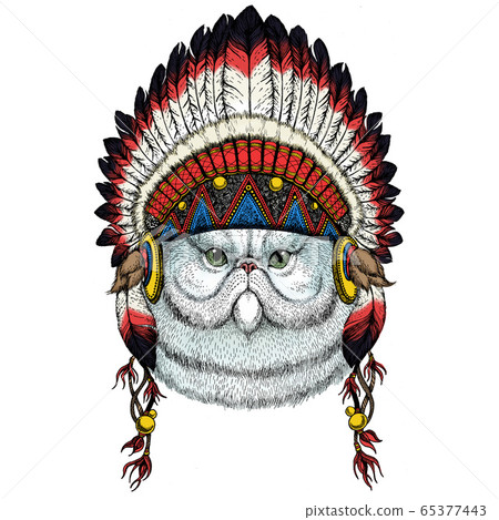 Persian longhair cat. Pet portait. Animal head. Kitty face. Indian traditional headdress. 65377443