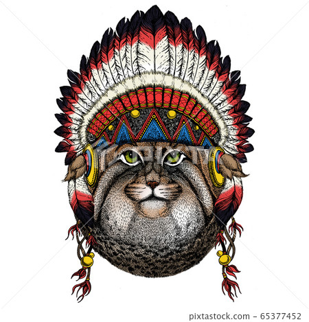 Pallas cat head. Manul head. Wild cat portrait. Indian traditional headdress. Pallas cat head. Manul head. Wild cat portrait. Indian traditional headdress. 65377452