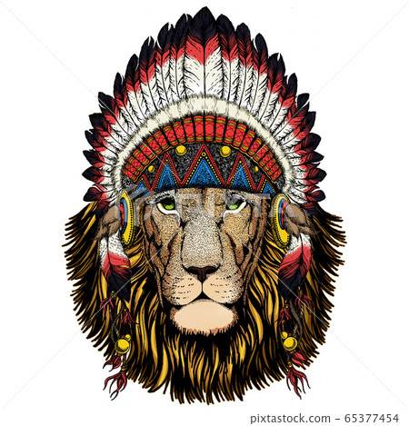 Lion head. Wild animal portrait. Face of african cat. 65377454