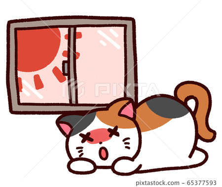Heat stroke animal calico sun indoors 65377593