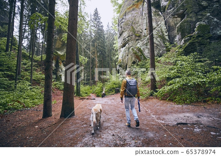 Man with dog in forest Man with dog in forest 65378974