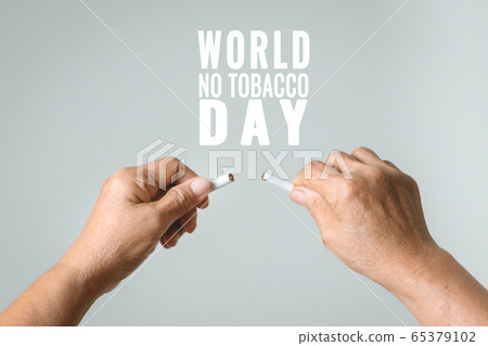 Quit smoking, no tobacco day, mother hands breaking the cigarette 65379102