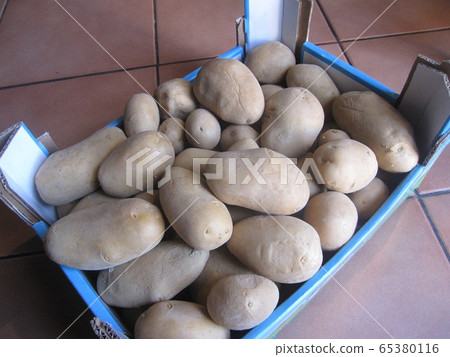 Potato harvest Potato harvest 65380116