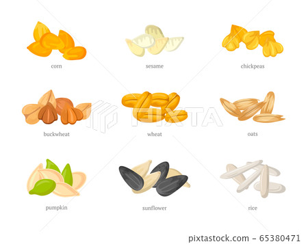 Cereal grains flat vector illustrations set 65380471