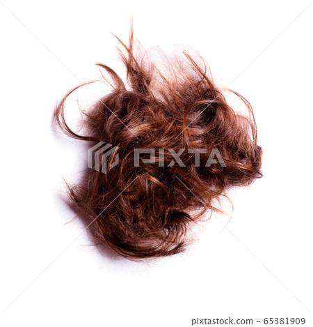 tangled tangle of brown hair isolated on white background tangled tangle of brown hair isolated on white background 65381909
