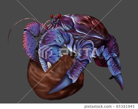 Coconut Crab 65381945