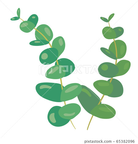 植物系列 65382096