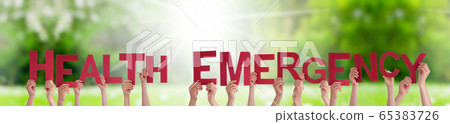 People Hands Holding Word Health Emergency, Grass 65383726