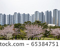 Cherry Blossom, Park, Apartment 65384751