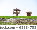 Campus, green barley field, spring 65384753