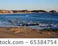 East sea, seagull, sand beach 65384754