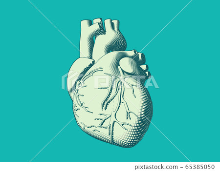 Retro engraving human heart illustration isolated 65385050