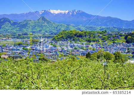 蘋果花和山。 65385214
