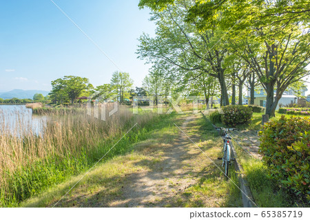 Image of cycling in early summer park 65385719