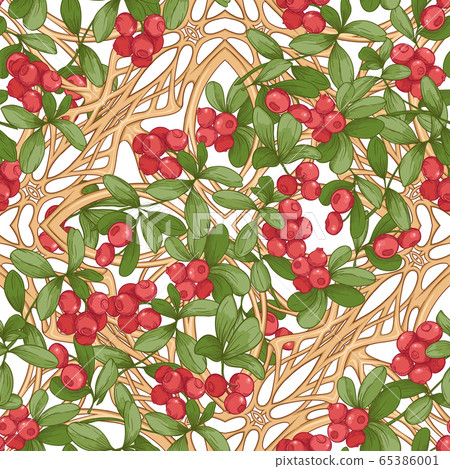Cranberry. Seamless pattern Cranberry. Seamless pattern 65386001