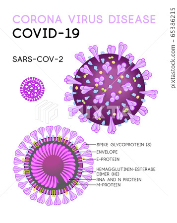 Corona virus disease covid-19, sars-cov-2 cell model Corona virus disease covid-19, sars-cov-2 cell model 65386215