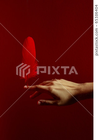 Crop hand balancing feather on finger against bright red background 65386404