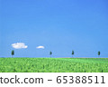Summer meadow with trees and clouds 65388511