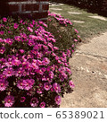 花路 65389021