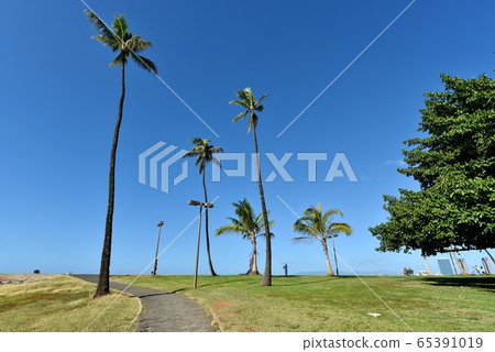 Holidays in Hawaii Holidays in Hawaii 65391019