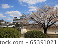 姬路城和櫻花 65391021