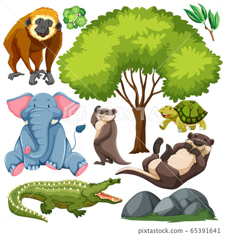 Set of cute wild animal and nature - Stock Illustration [65391641] - PIXTA