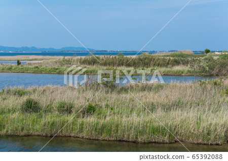  河口的風景 65392088