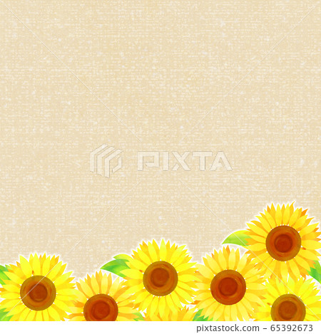 背景材料_向日葵 背景材料_向日葵 65392673