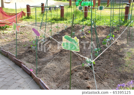 苗圃中建有菜園 苗圃中建有菜園 65395125